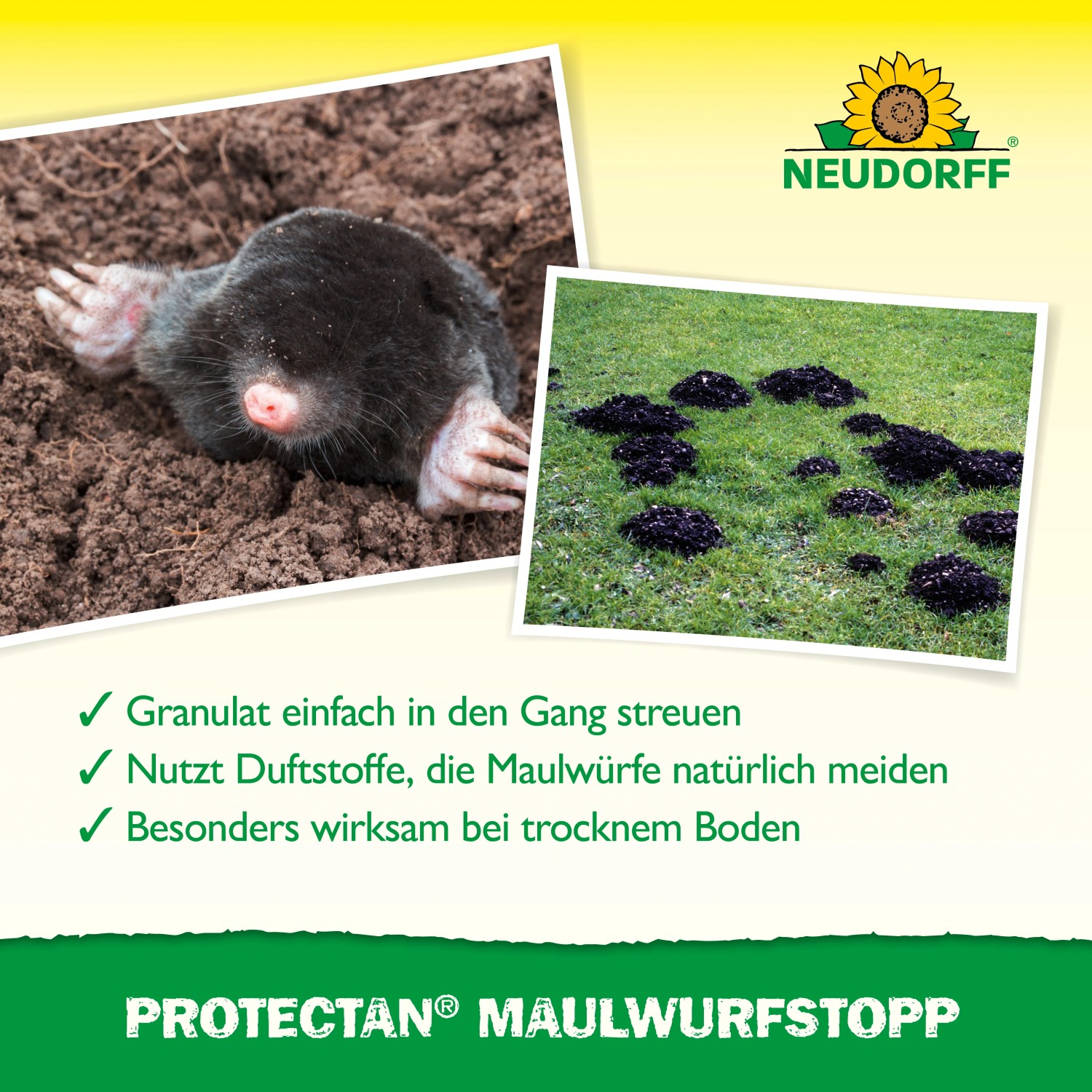 Neudorff Maulwurf-Stopp 200 g kaufen bei OBI
