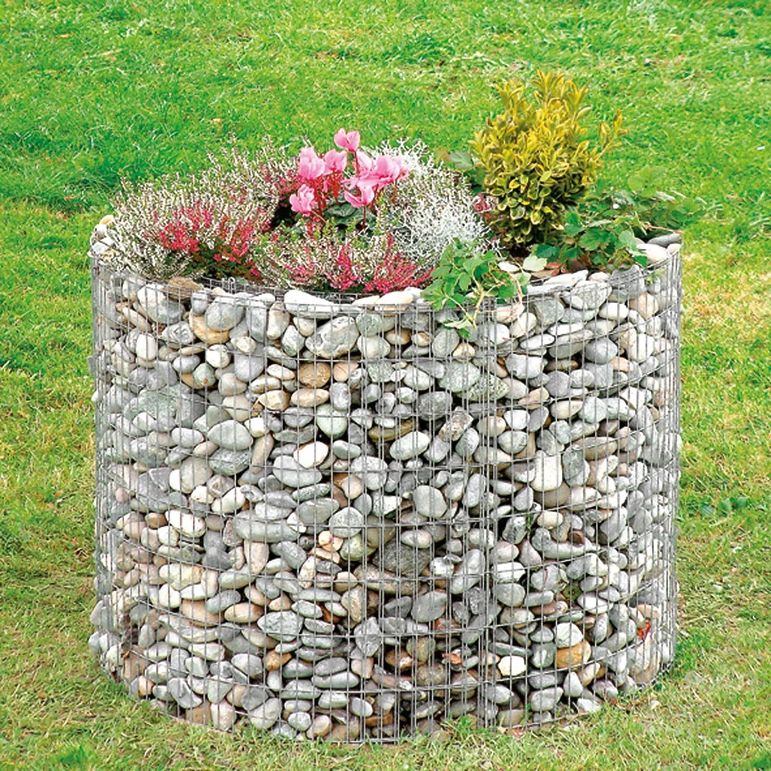 Rundes Bellissa Gabionen-Hochbeet (Ø 146 cm) mit Steinen befüllt und bepflanzt.