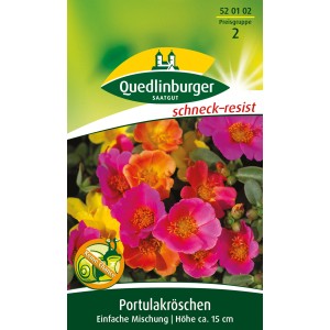 Quedlinburger Portulakröschen ''einfach blühende Mischung''