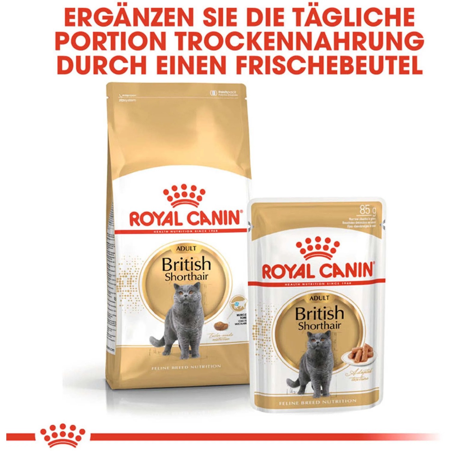 Royal Canin British Shorthair Katzenfutter Trocken fr Britisch Kurzhaar  400 g kaufen bei OBI