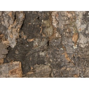 Nahaufnahme der Granorte Rusticork Korkwand. Raue, natürliche Korktextur in Braun- und Grautönen für Wandfliesen.