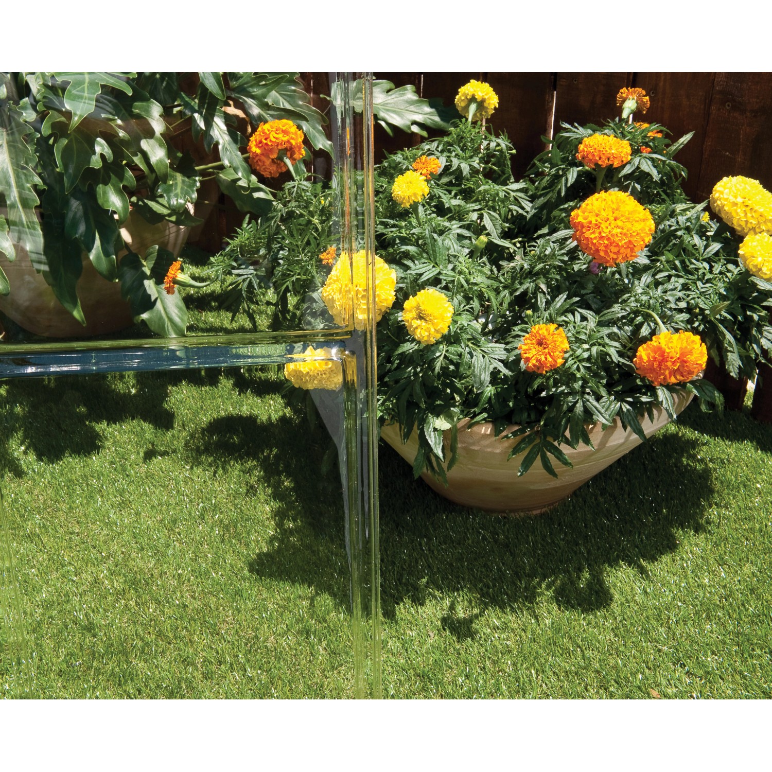 Detailaufnahme: Palram Canopia Gewächshaus, grüne Aluminiumprofile, Polycarbonatplatten, Pflanzen im Topf.