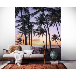 Komar Vlies Fototapete: Palmen am Strand bei Sonnenuntergang, 200x250 cm.