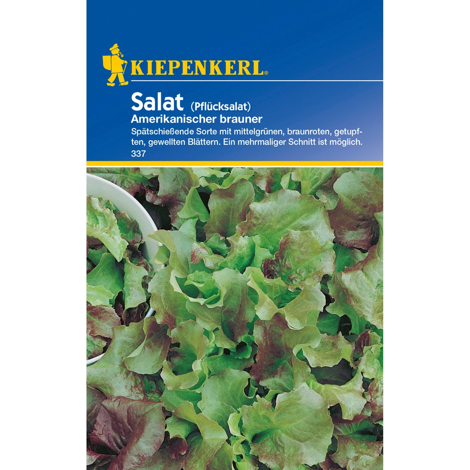 Kiepenkerl Pflücksalat &amp;quot;Amerikanischer brauner&amp;quot; kaufen bei OBI