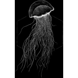 Schwarzes Wandbild: stilisierte Qualle (Jellyfish) im Format 40x50 cm.