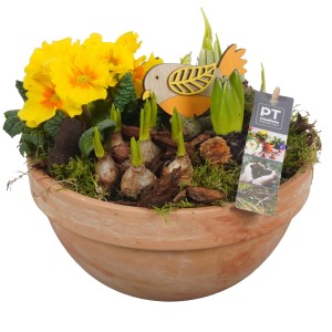 Frühblüher-Arrangement im Topf (Ø 23cm) mit Narzissen, Primeln, Hyazinthen und Deko-Vogel.