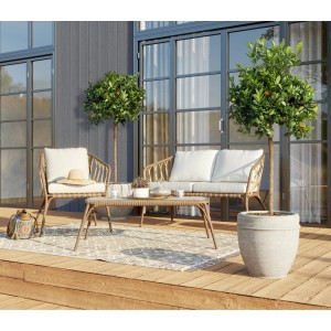 Orangenbaum 'Calamondin' (ca. 140-160cm) im Topf auf Terrasse mit Gartenmöbeln.