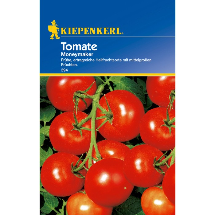 Tomatenpflanzen kaufen bei OBI