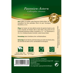 Samentüte Quedlinburger Paeonienastern 'Turm rosa', einjährige Sommerblume mit rosa Blüten.