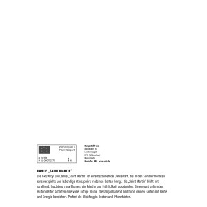 GROW by OBI Dahlie Saint Martin, lila-rote und weiße Blüte, ca. 90cm hoch.