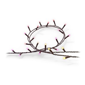 Philips Hue Festavia Lichterkette mit 250 LEDs und 20 m Länge, smarte Weihnachtsdeko für Innen.