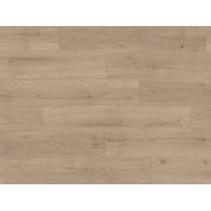 Parador Vinylboden Basic 30 Eiche Infinity Grau, Holzoptik, Klick-System.