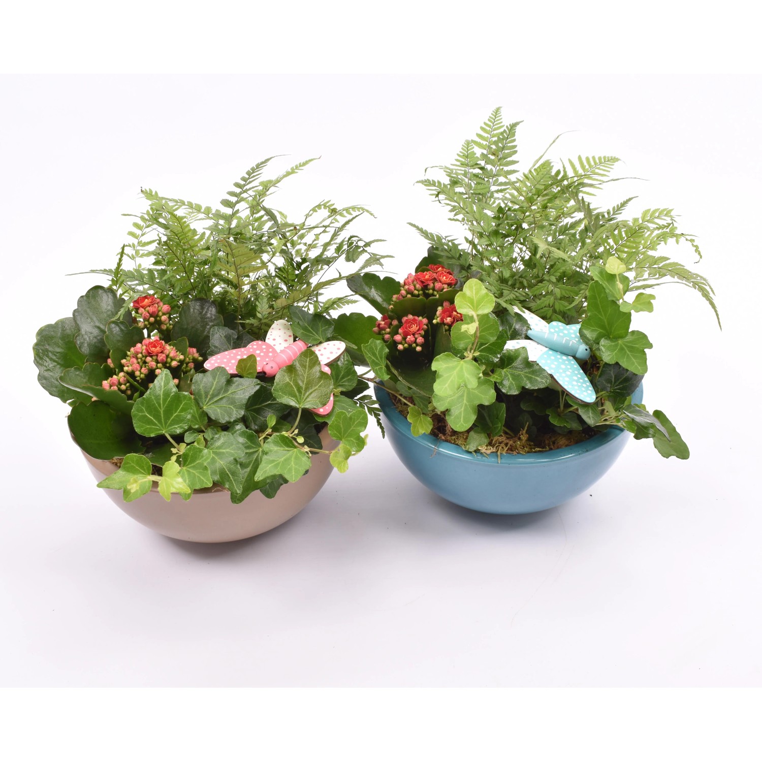 Sommer-Arrangement im Keramik-Gef Farbenauswahl Topf- ca. 18 cm kaufen  bei OBI