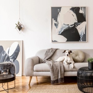 Wohnzimmer mit grauer Couch, Hund, abstrakten Bildern und Deko-Elementen vor weißer Wand.
