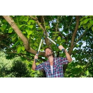 Mann schneidet Ast mit Gardena EnergyCut 750 B Astschere im Garten.