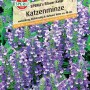 Sperli Katzenminze Blauer Kater Samen, blühende, blaue Duftpflanze für Beet und Garten.