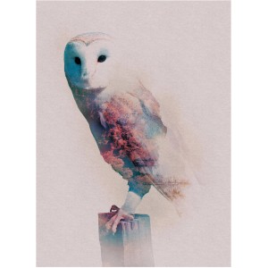 Komar Wandbild: Eule im Wald, 30x40 cm. Detailreiche Darstellung einer Eule mit Waldmotiv.