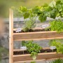 Westmann Kräuterregal Premium L mit Rankgitter, bepflanzt mit Kräutern wie Basilikum und Petersilie.