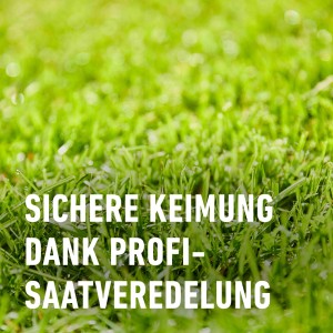 Sattes Grün durch Compo Saat Rasen-Nachsaat: Sichere Keimung dank Profi-Saatveredelung für dichten Rasen.