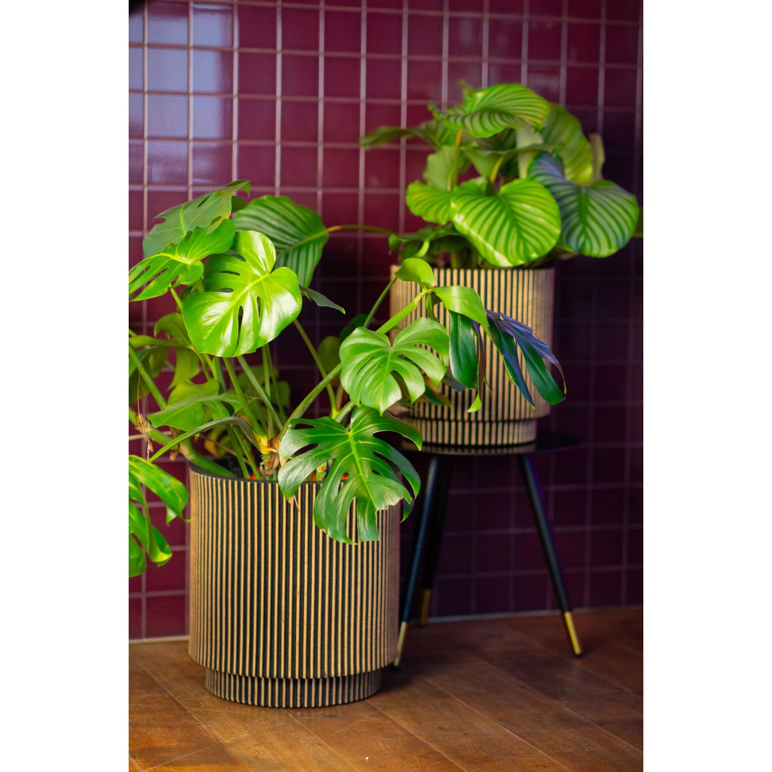 Whitefurze Pflanzgefäß Aus Kunststoff – Schwarz, 34 Cm Durchmesser, Mit Holzmaserungs-Optik – Für Gemüse, Salat & Blumen