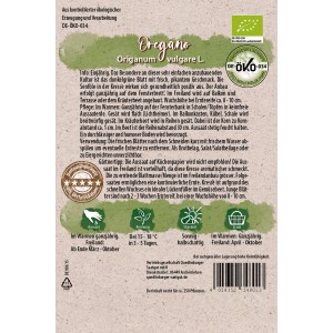 Bio-Oregano Samen von Quedlinburger, samenfeste Sorte für würzige Kräuter.