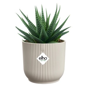 Elho Blumentopf Vibes Fold Mini, Ø 9 cm, leinenweiß, mit Pflanze. Runder Übertopf mit Rillenstruktur.