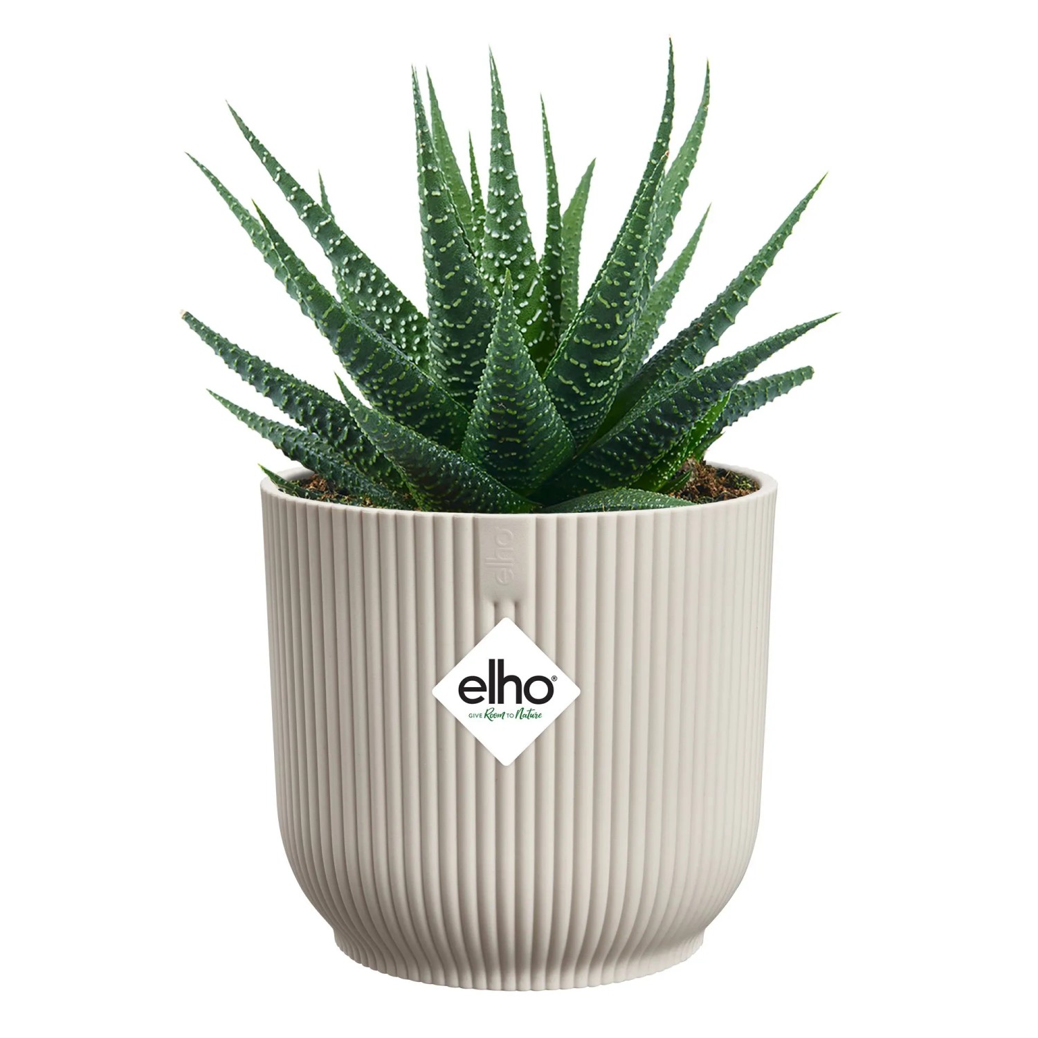 Elho Blumentopf Vibes Fold Mini, Ø 9 cm, leinenweiß, mit Pflanze. Runder Übertopf mit Rillenstruktur.