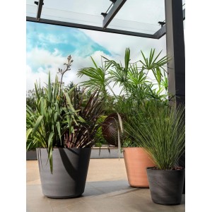 Großer Deroma Pflanztopf Original Anthrazit mit Pflanze auf Terrasse. Robuster Kunststofftopf für Garten & Balkon.