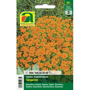 Austrosaat Studentenblume Tangerine Orange Saatgut mit vielen kleinen, orangen Blüten.