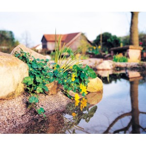 Teichufergestaltung mit bekiester Teichfolie und Bepflanzung am Ufer.