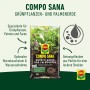 Compo Sana Grünpflanzen- und Palmenerde 10 l_3