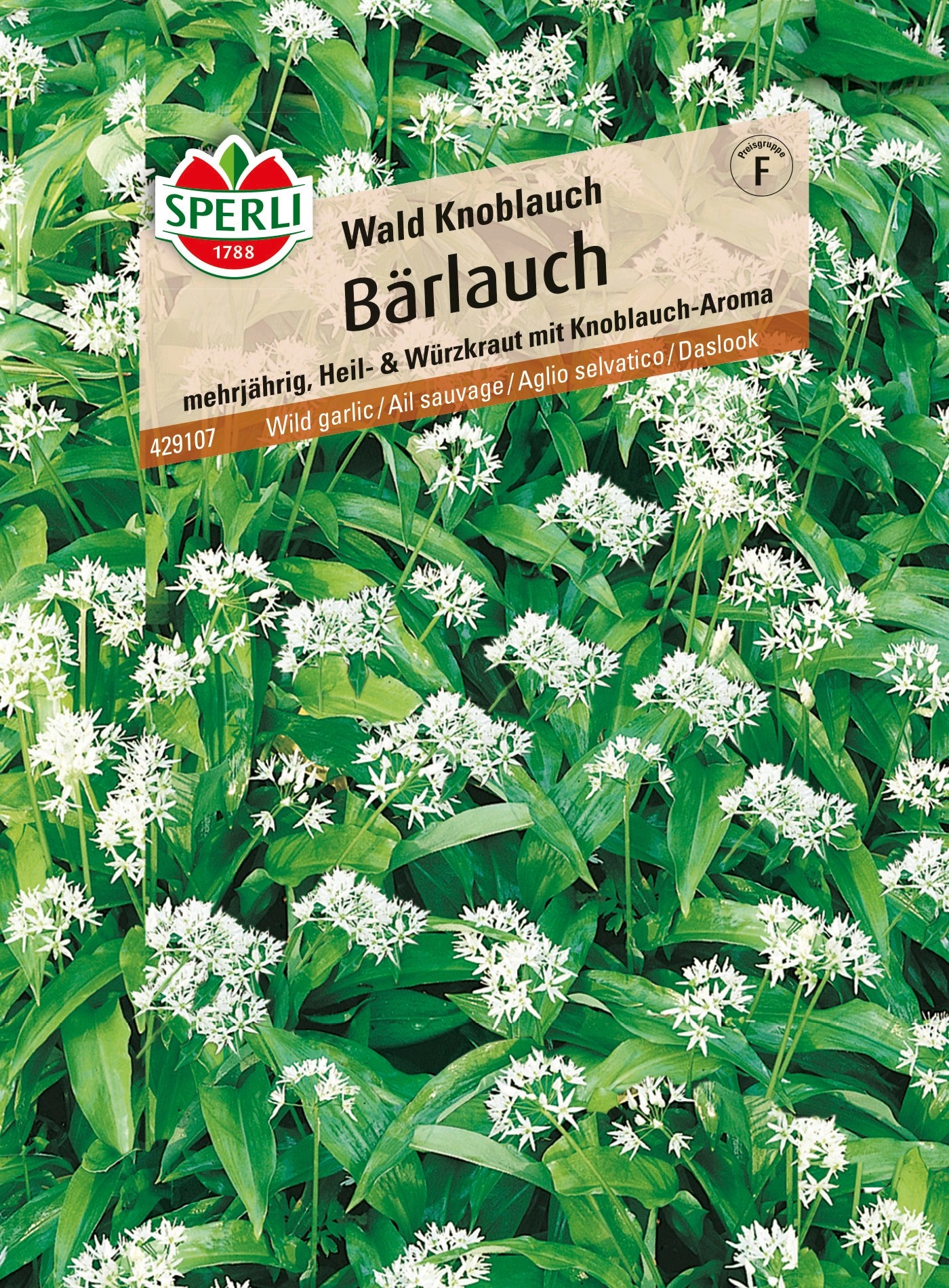 Sperli Bärlauch "Waldknoblauch" kaufen bei OBI