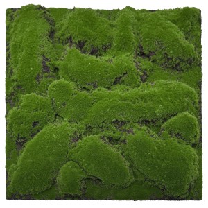 Jangal Wandpaneel Forest Green Moos, 52x52cm, für individuelle Wanddekoration.