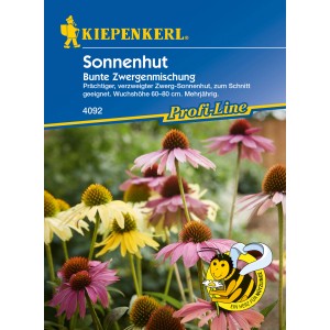 Kiepenkerl Sonnenhut Bunte Zwergmischung Echinacea im Garten, Blüten in Gelb und Pink.