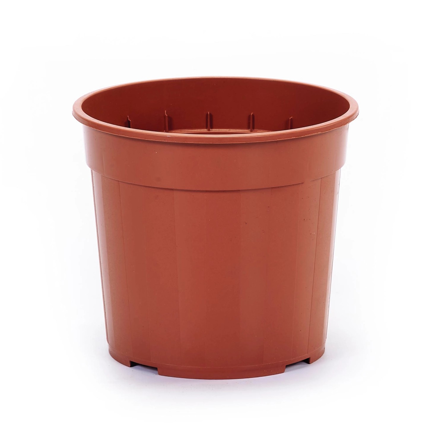 AmaryllisBlumenzwiebelSet "Red Lion" inkl. Keramiktopf und Blumenerde