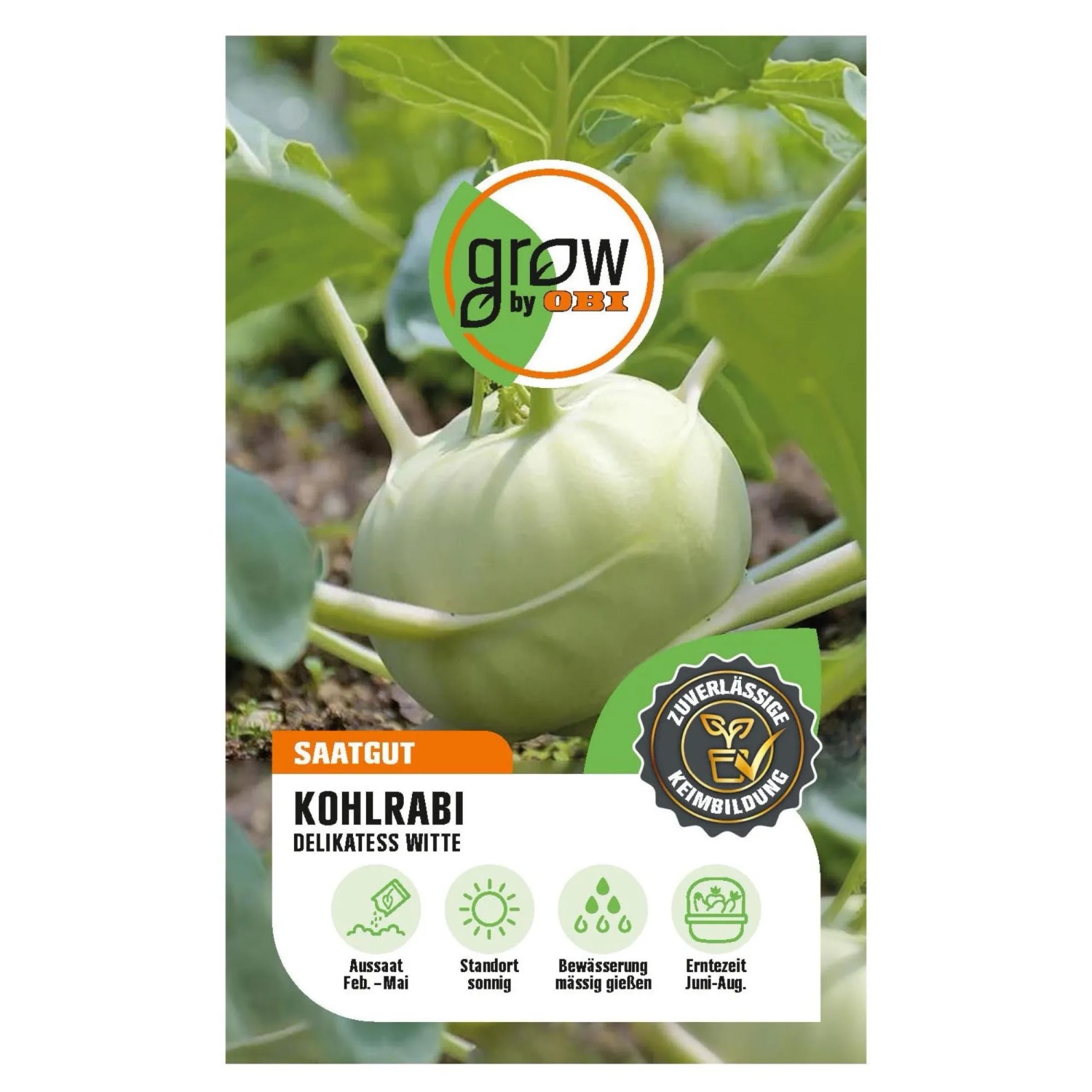 GROW by OBI Kohlrabi "Delikatess Witte" kaufen bei OBI