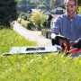 Einhell Akku-Heckenschere Arcurra 18/55 im Einsatz beim Heckenschneiden im Garten.