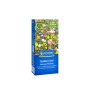 Kiepenkerl Blumenmischung Garden Love für bunte Blumenwiese, einjährig, Höhe bis 150cm.