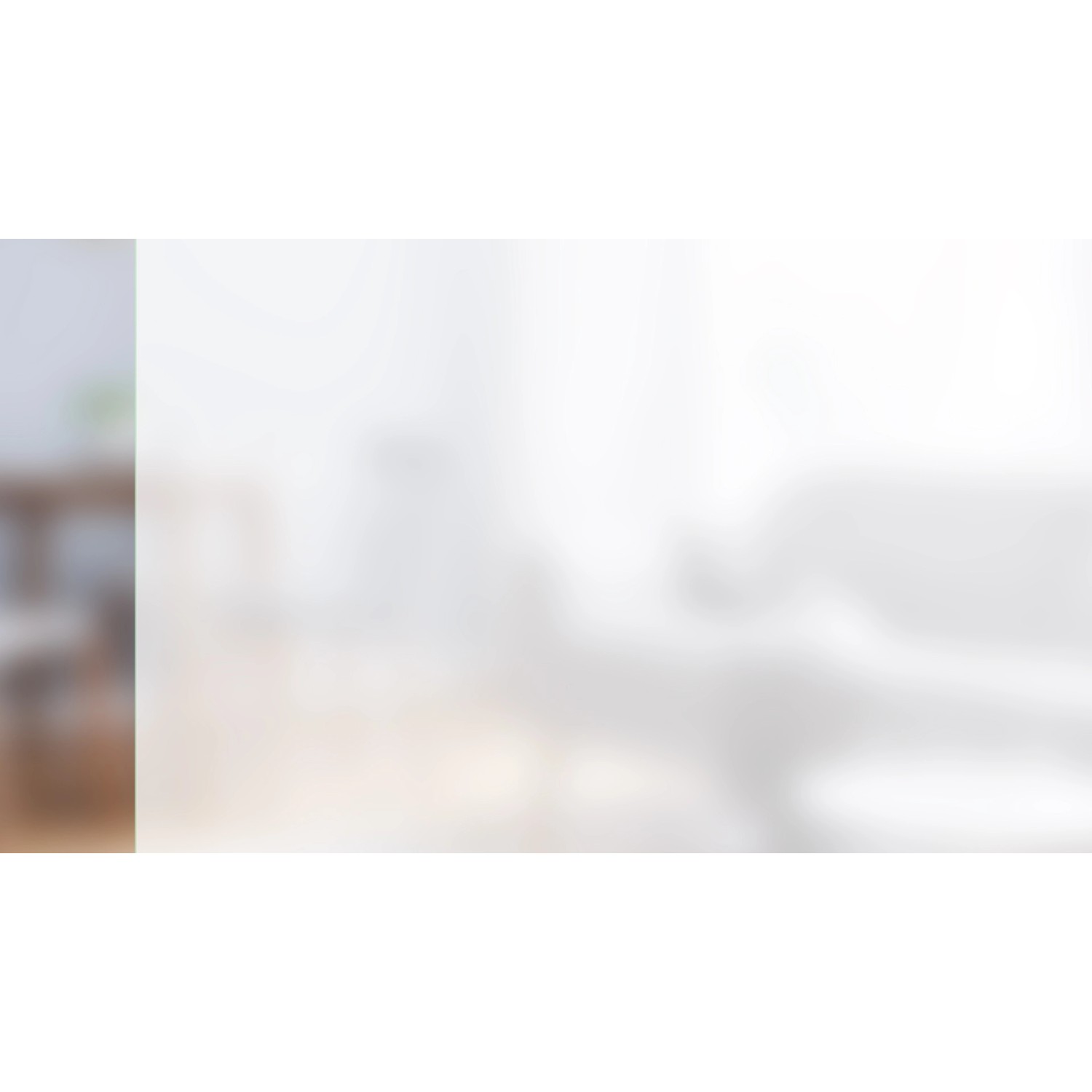 Glasschiebetür-Set Nova 501 Alu, satiniertes Glas, mit Griffmuschel, 190 cm für den Innenbereich.