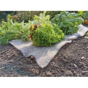 Gardigo Schnecken-Stopp Vlies Matte 80x60cm im Beet mit Salatpflanzen.