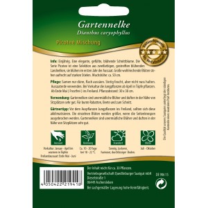 Samentüte Quedlinburger Gartennelken 'Picotee Mischung', zweifarbige Landnelken für Beet und Topf.
