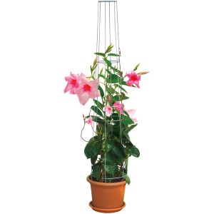 Bellissa Ranksäule, kegelförmig, 80 cm, verzinkt, mit blühender Kletterpflanze im Topf.
