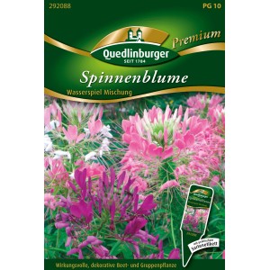 Quedlinburger Spinnenblume 'Wasserspiel Mischung' Blumensamen mit rosa, violetten und weißen Blüten.