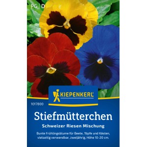 Kiepenkerl Stiefmütterchen Schweizer Riesen Mischung mit gelben, roten und blauen Blüten.
