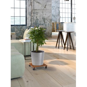 Eckiger, dunkel geölter Pflanzenroller aus Buche (35x35 cm) mit Pflanze im Topf.