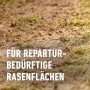 Lückenhafte Rasenfläche vor der Reparatur mit Compo Rasen Nachsaat Turbo.
