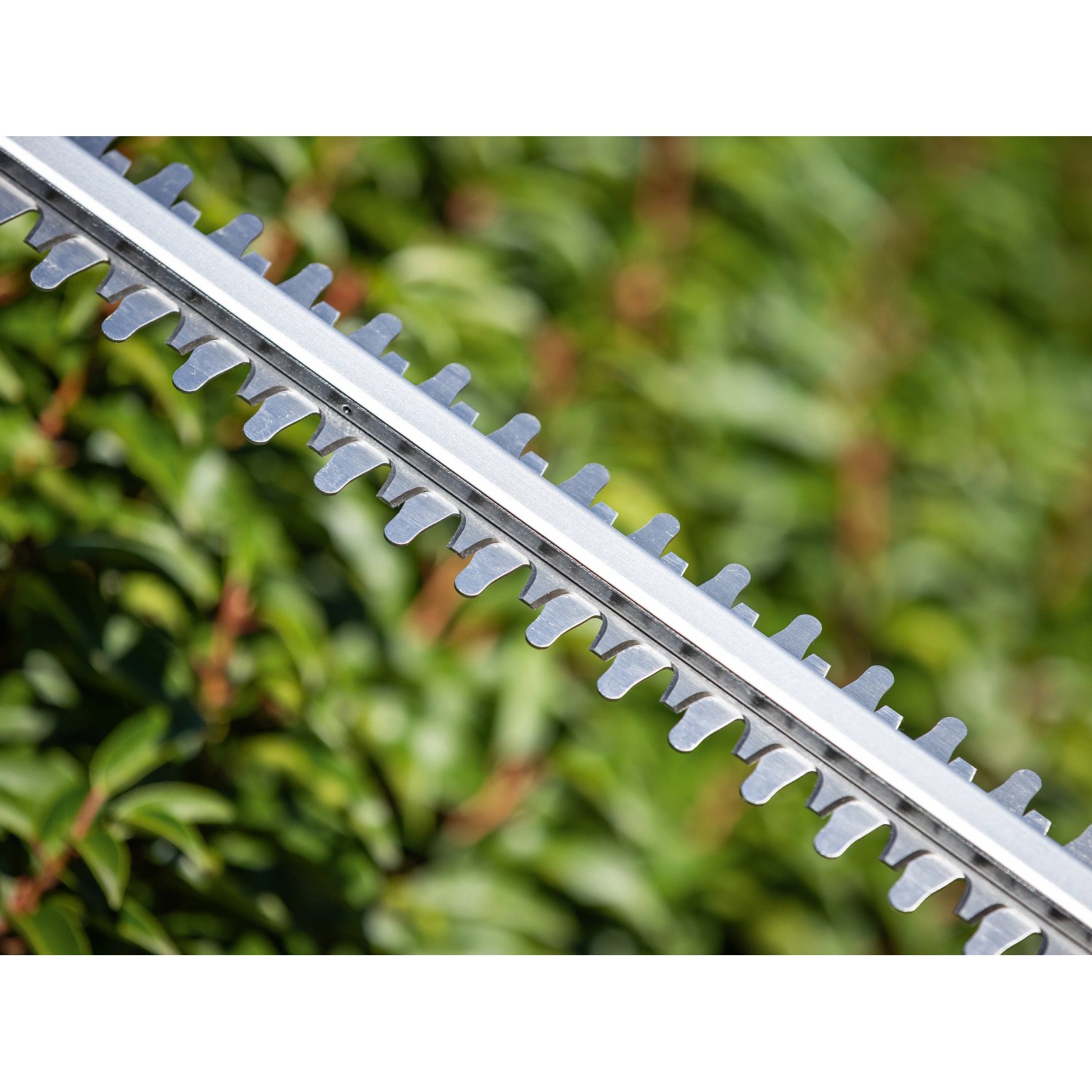 Messer einer LUX Akku-Heckenschere A-HS-20/52-24 im Detail.