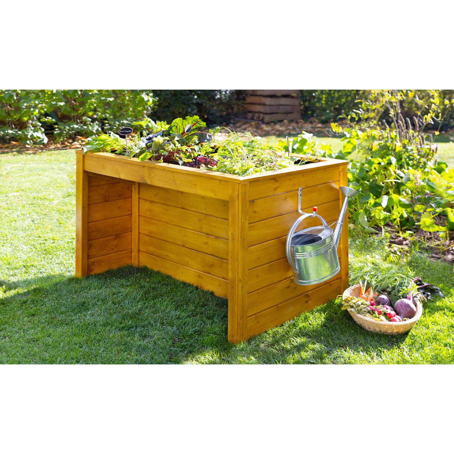 Weka Hochbeet Profi für Rollstuhlfahrer, lasiert, mit Pflanzen und Gießkanne im Garten.