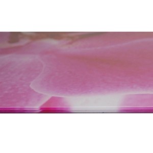 Glasbild mit Orchidee, 40x60 cm, für Deko & Wohnaccessoires.