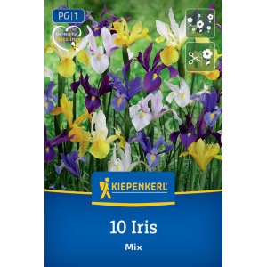 Kiepenkerl Blumenzwiebeln: Bunte Mischung Holländischer Schwertlilien in Violett, Gelb, Weiß. 10 Stück.